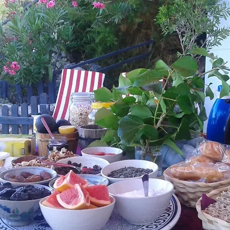 The Sunlight シッチェス